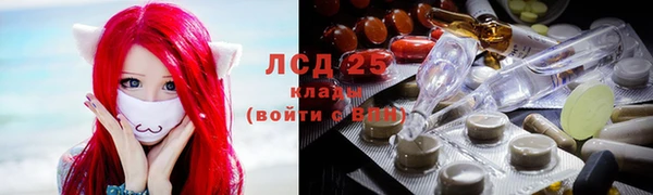 прущие грибы Белоозёрский